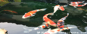 μ׽ö